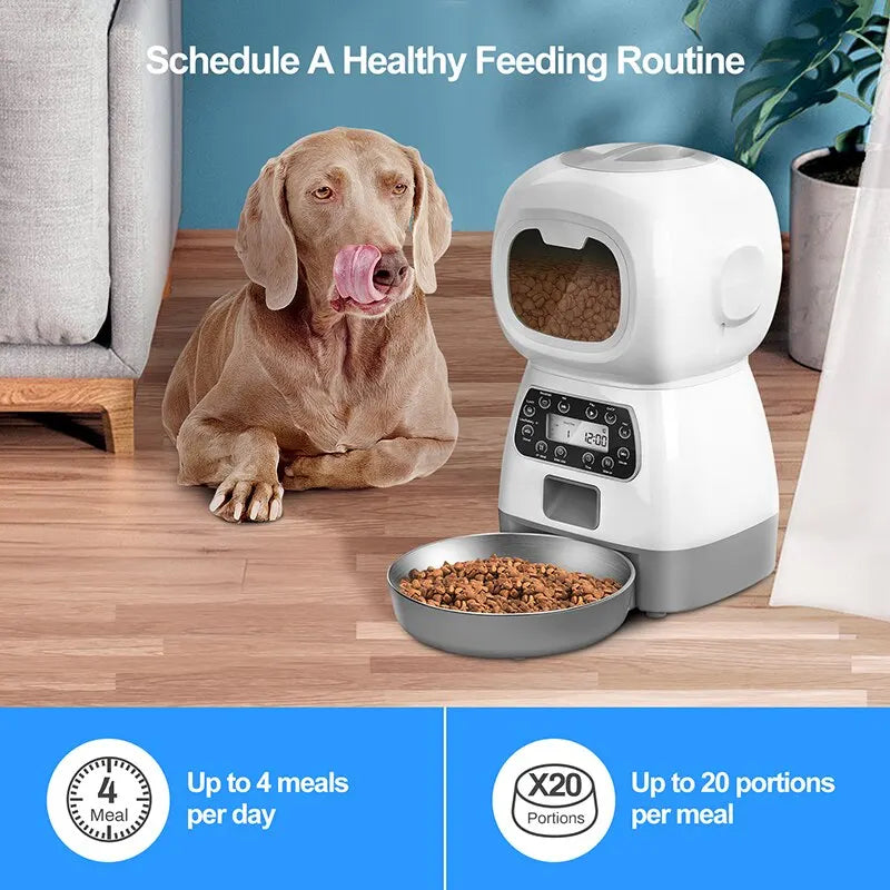 Télécommande intelligente d'alimentation automatique pour animaux de compagnie